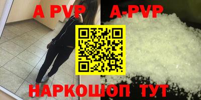 дмт Гай