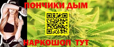 дмт Гай