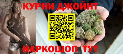 дмт Гай