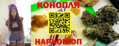 Альфа ПВП Гагарин