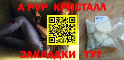 дмт Гай