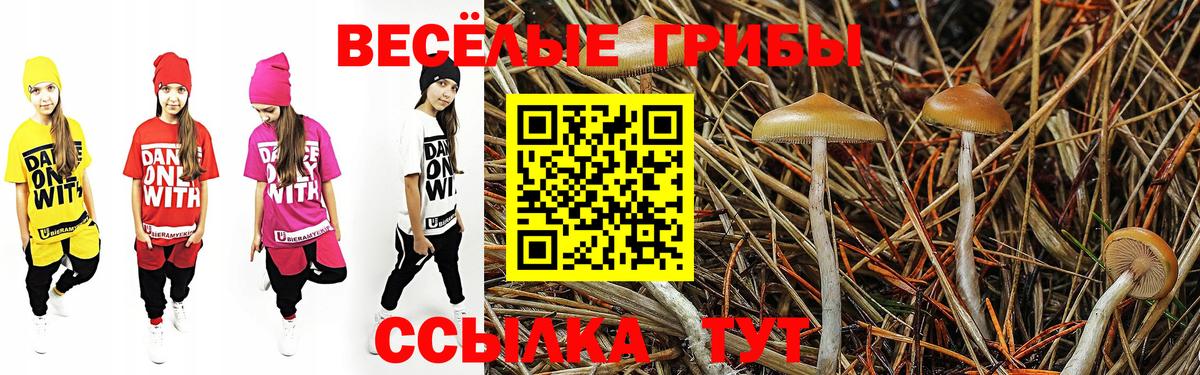 Псилоцибиновые грибы Magic Shrooms  Вход с VPN  Беслан 