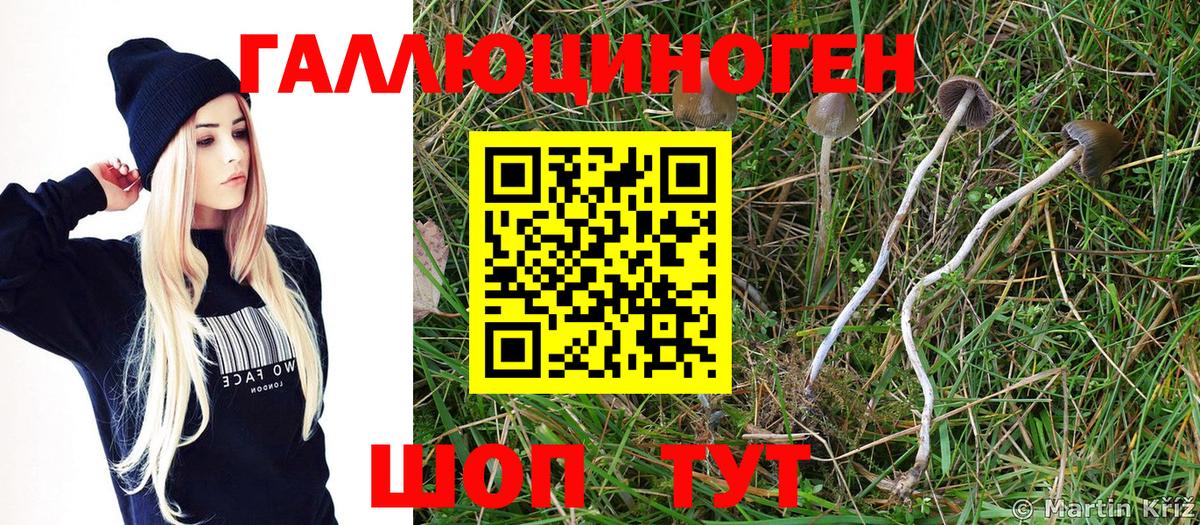 Галлюциногенные грибы Magic Shrooms Беслан